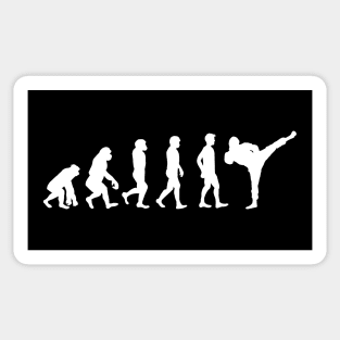 Ninja Wu Shu Evolution Ninjutsu Sticker